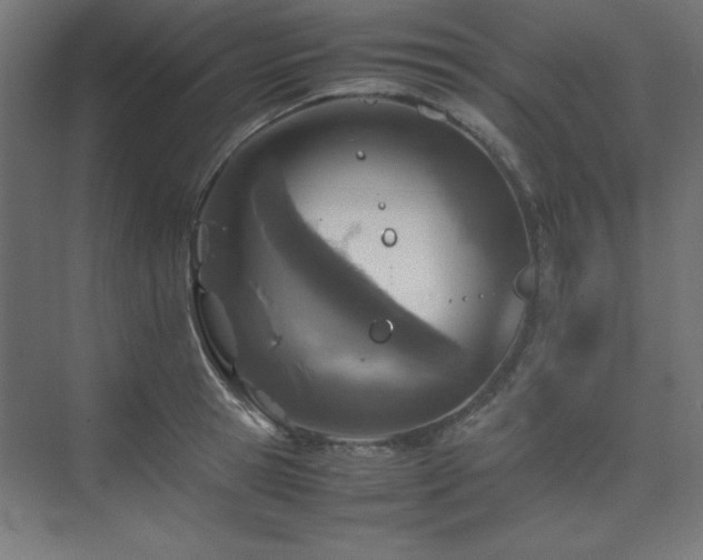 X0000074210945200608251059