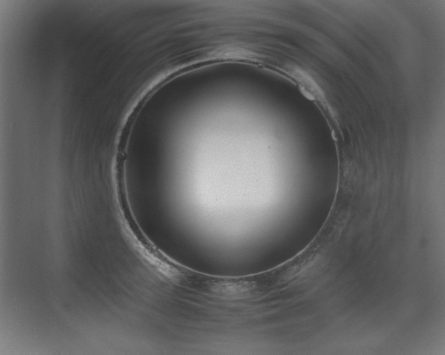 X0000074210947200608251059