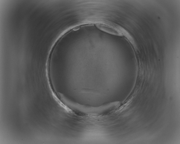 X0000074210958200608251059