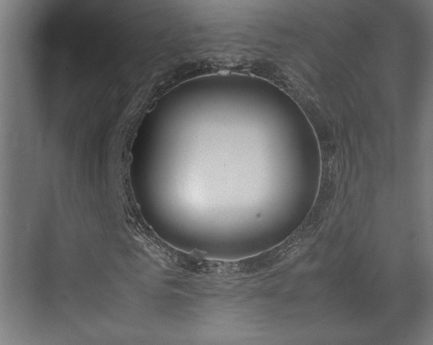 X0000074210961200608251058