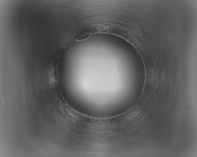 X0000074210962200608251058