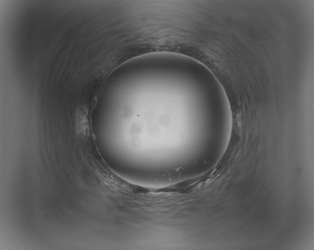 X0000074210963200608251058