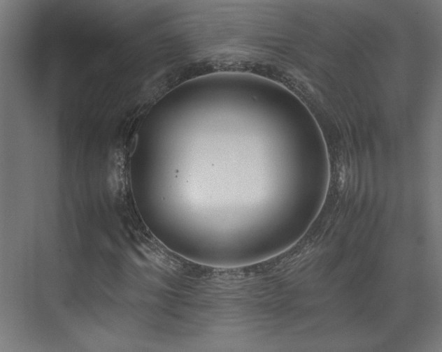 X0000074210964200608251058