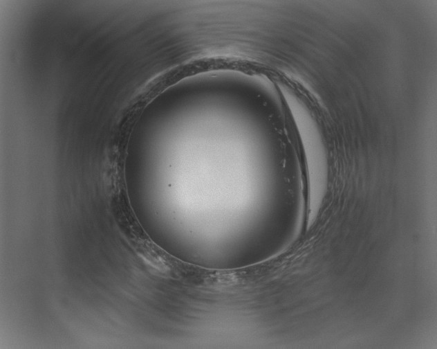 X0000074210968200608251058