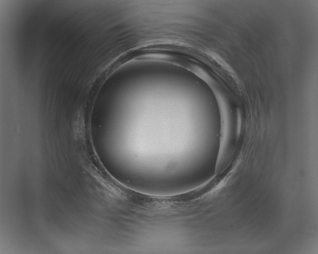 X0000074210969200608251058