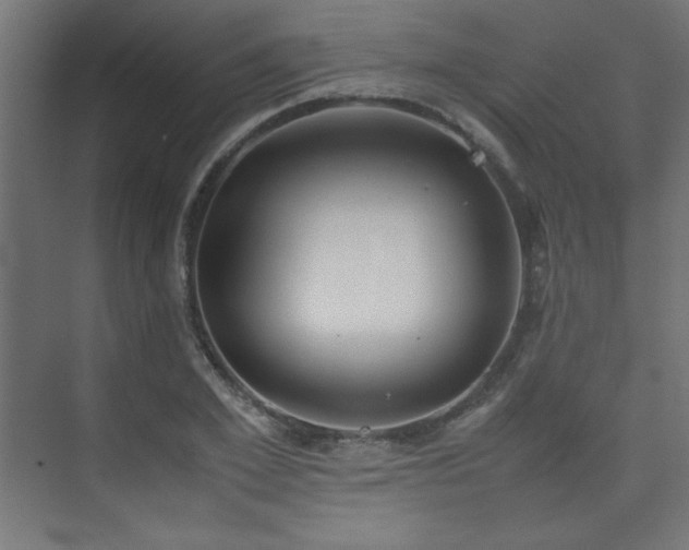 X0000074210981200608251058