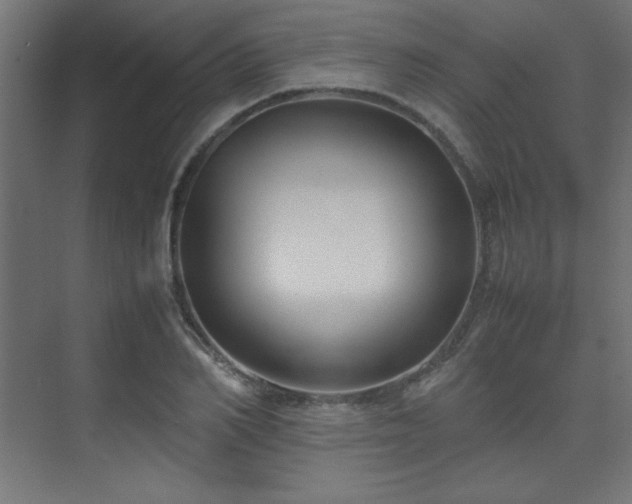 X0000074210982200608251058