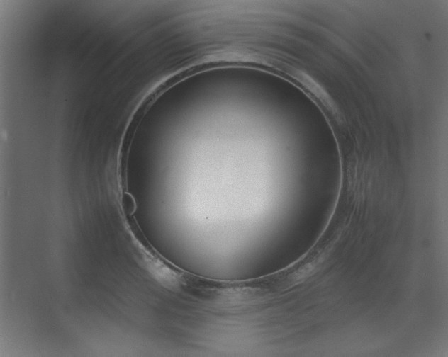 X0000074210988200608251058