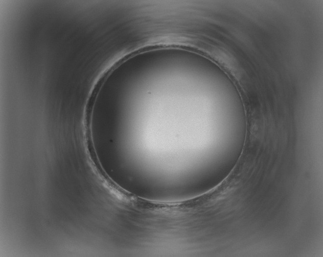 X0000074210990200608251058