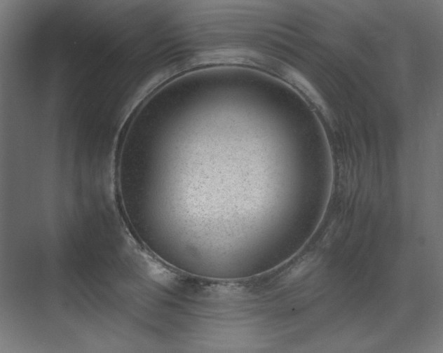 X0000074210994200608251058
