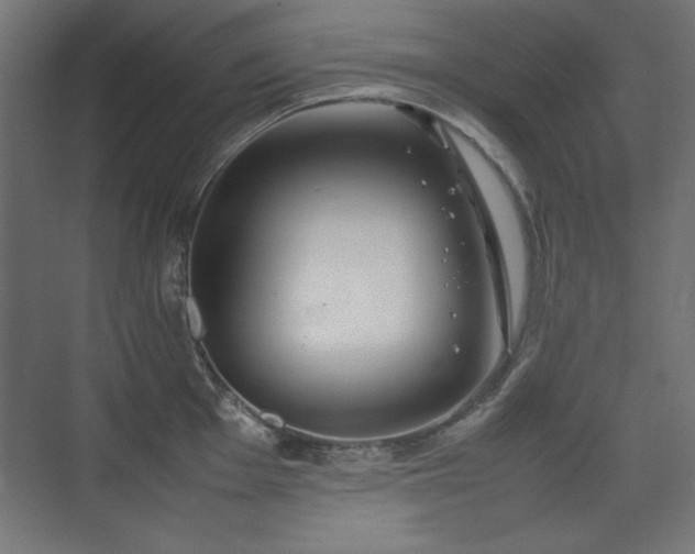 X0000074211001200608251058