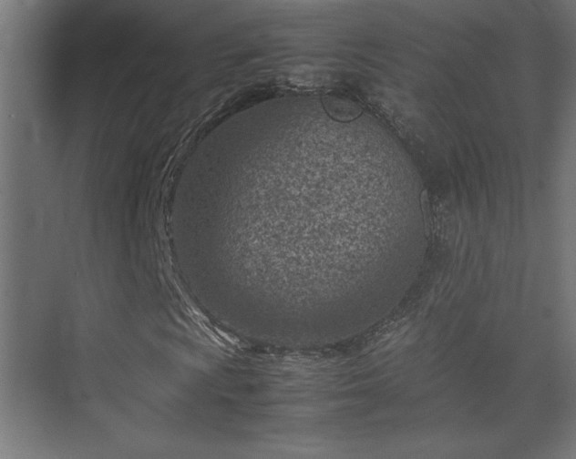 X0000074211009200608251057