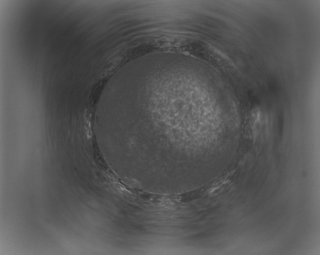 X0000074211013200608251057