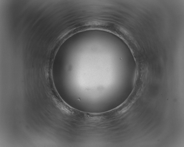 X0000074211017200608251057