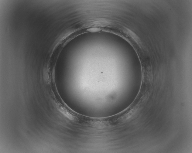 X0000074211018200608251057
