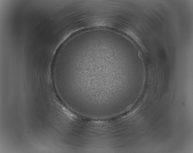 X0000074211023200608251057