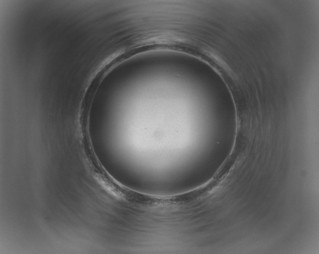 X0000074211026200608251057