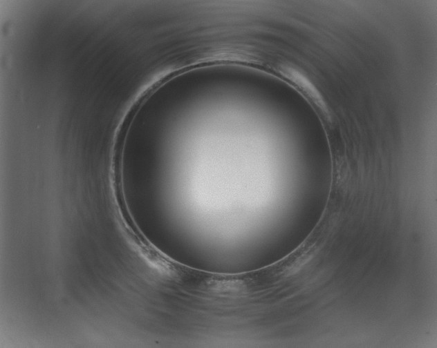X0000074211043200608251057