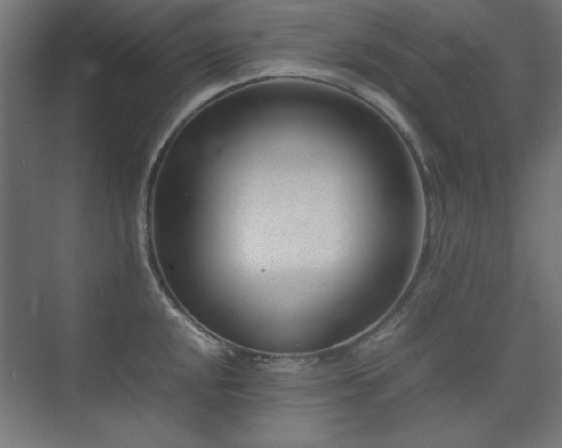 X0000074211048200608251057