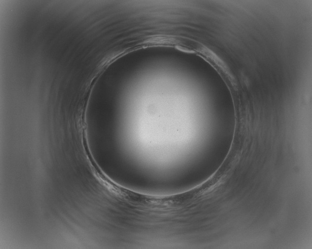 X0000074211049200608251057