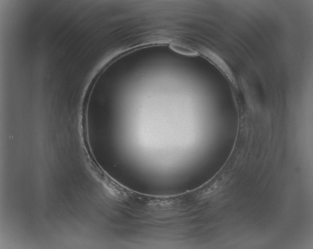 X0000074211051200608251058