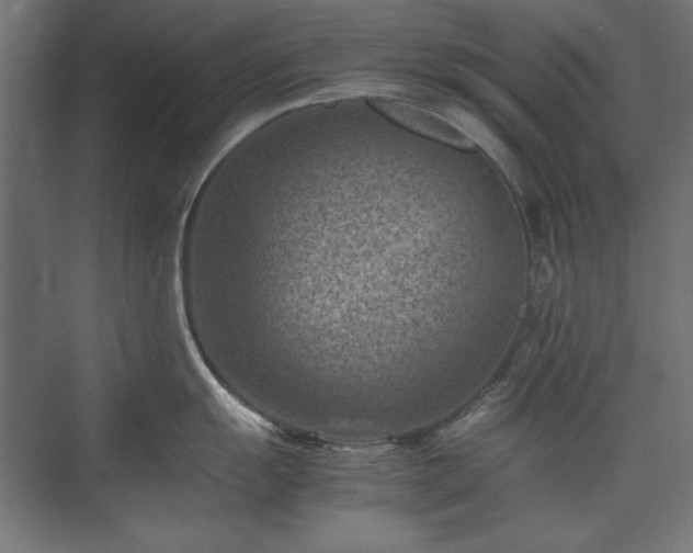 X0000074211055200608251058