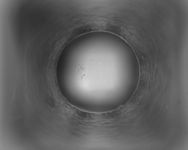 X0000074211057200608251057