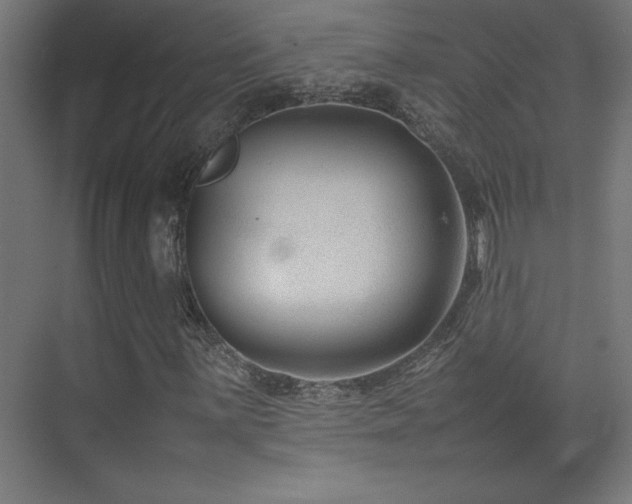 X0000074211059200608251057