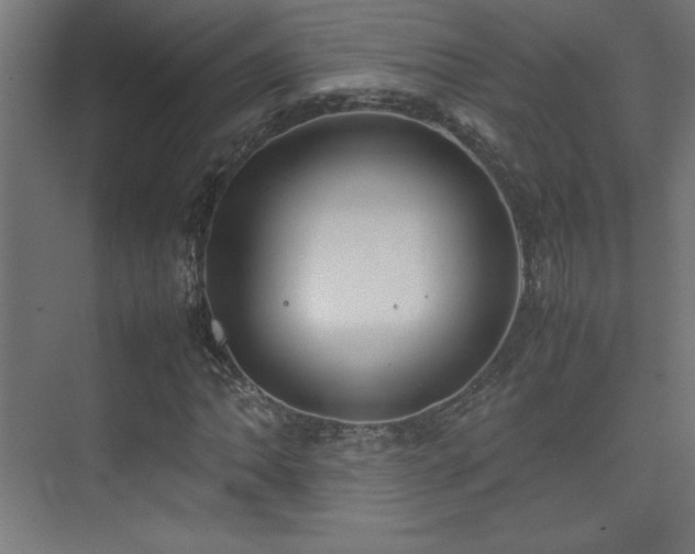 X0000074211062200608251057