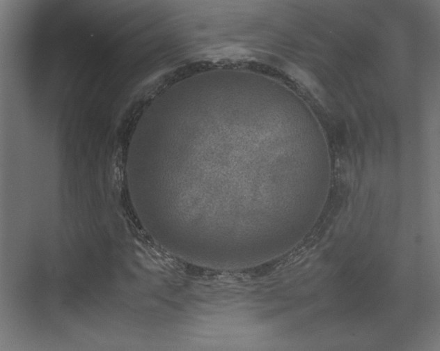 X0000074211063200608251057