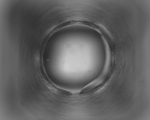 X0000074211065200608251057
