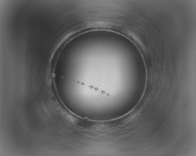 X0000074211075200608251056