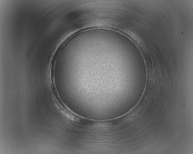 X0000074211078200608251056