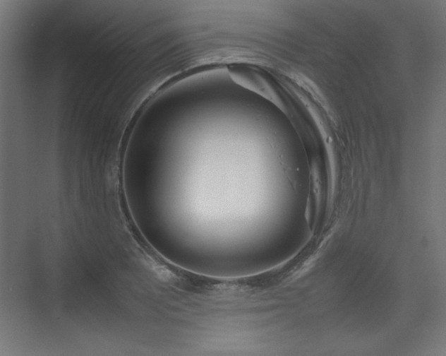 X0000074211081200608251056