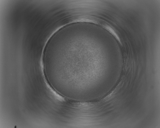 X0000074211084200608251056