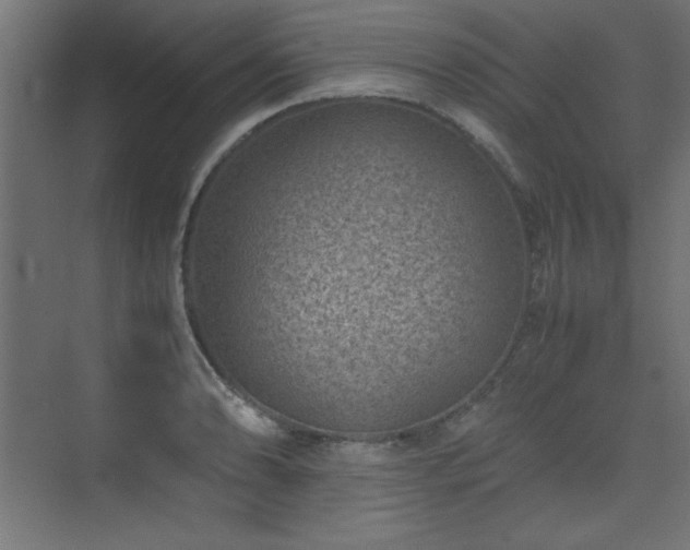 X0000074211086200608251056