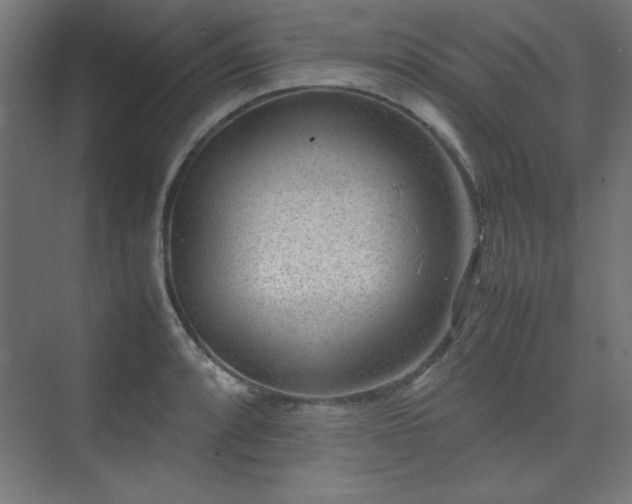 X0000074211088200608251056
