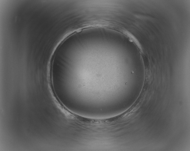 X0000074211099200608251056