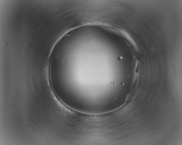 X0000074211100200608251056