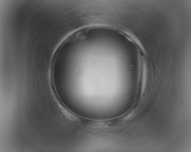 X0000074211101200608251056