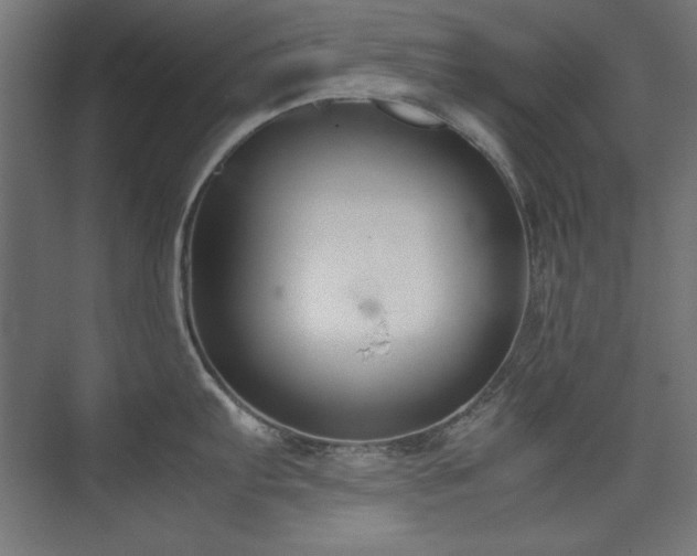 X0000074211103200608251056