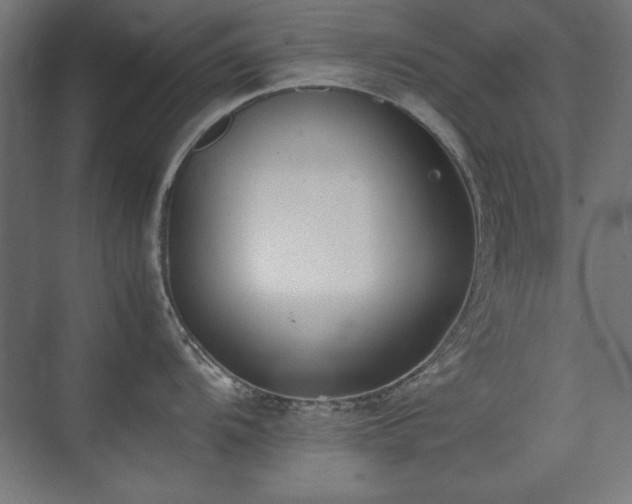 X0000074211104200608251056