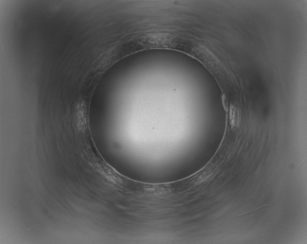 X0000074211107200608251055