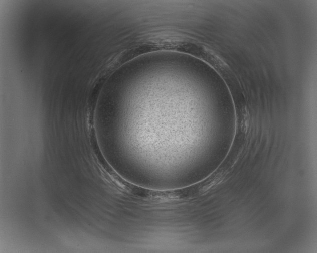 X0000074211108200608251055