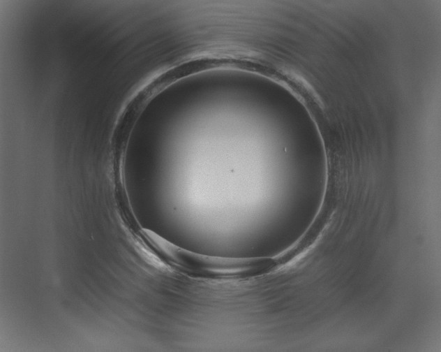 X0000074211114200608251055