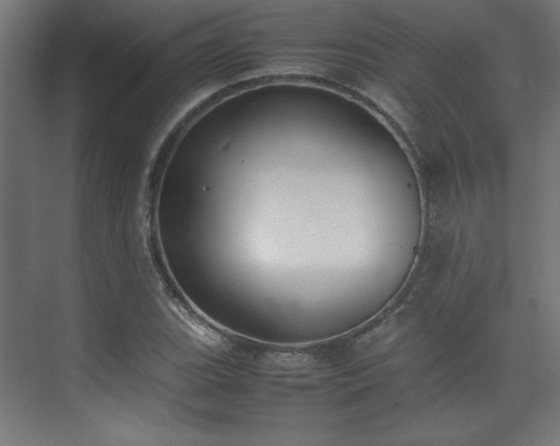 X0000074211119200608251055