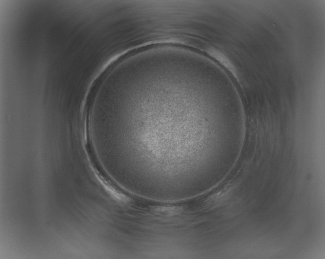 X0000074211127200608251056