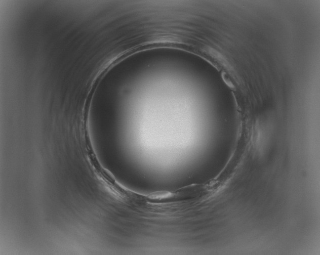 X0000074211129200608251056