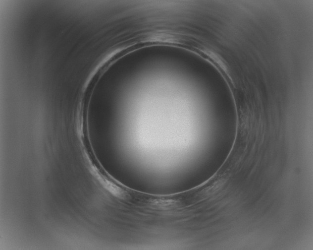 X0000074211131200608251056