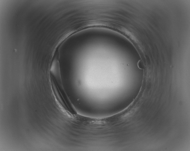 X0000074211137200608251056